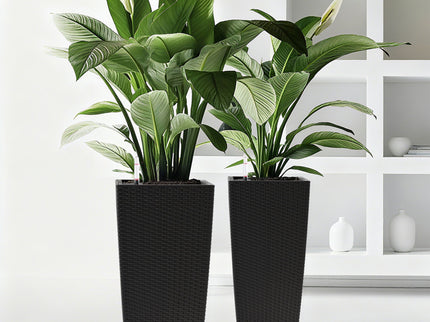 Indoor Outdoor Planter With Automatic Watering System