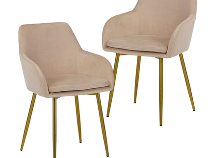 Dining Chair Set For Dining Rooms (Set of 2) - Beige