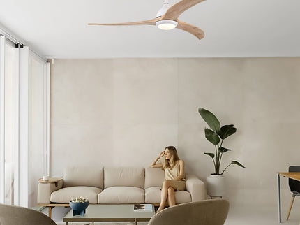 Indoor Outdoor Ceiling Fan With Light With Remote Control, Noiseless Reversible Motor, 6 Speed, 3 Color