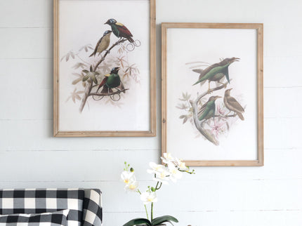 Bird Framed Print (Set of 2) - Multicolor