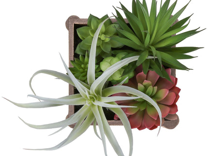 Artificial Succulent, Table Decor (Set of 2) - Green / Dark Brown