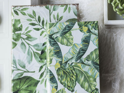 Botanical And Book Boxes (Set of 2) - White / Green