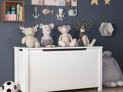 Toy Box Storage With Safety Hinged Lid
