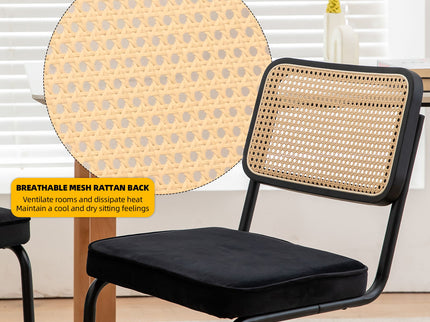 Rattan Side Accent Dining Chairs With Painted Legs (Set of 2)