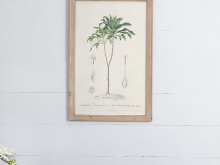 Tree Framed Print (Set of 2) - Multicolor