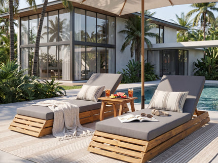 Chaise Lounge Set With 2 Fold Cushion