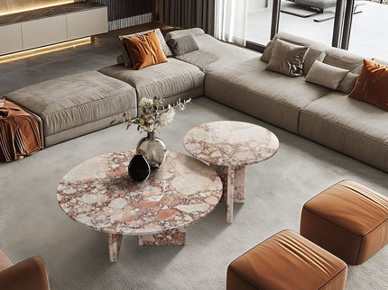 Elegant Coffee Duo Table Set