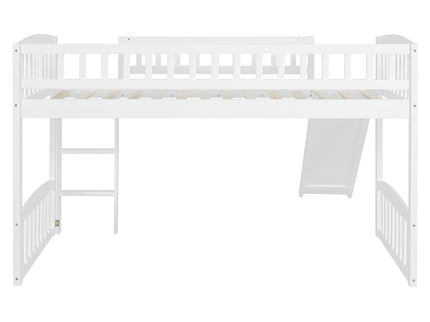 Loft Bed With Slide And Ladder