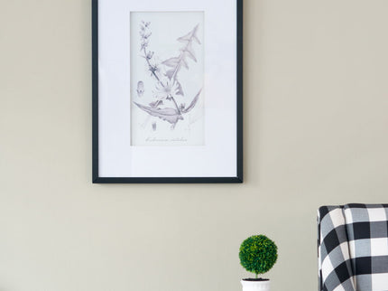 Botanical Wall Art Prints, Home Decor For Living Room Dining Room, Bedroom, Hallway (Set of 4) - White / Black