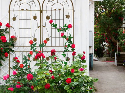 Metal Garden Trellis Rustproof Trellis For Climbing Plant Outdoor Flower Support