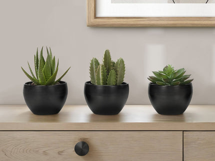 Artificial Succulent Plants (Set of 3)