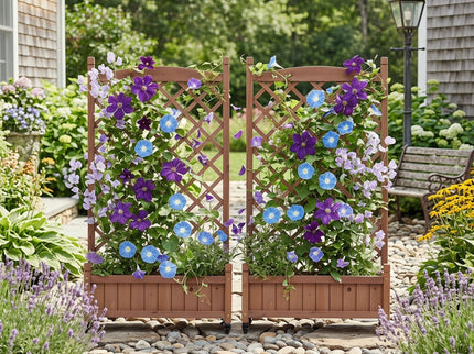 Raised Garden Bed With Trellis 2 Pack, Outdoor Planter Box & Plant Stand With Climbing Racks - Brown