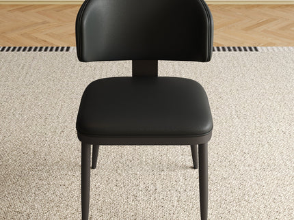 Modern Dining Chairs For Kitchen (Set of 2)