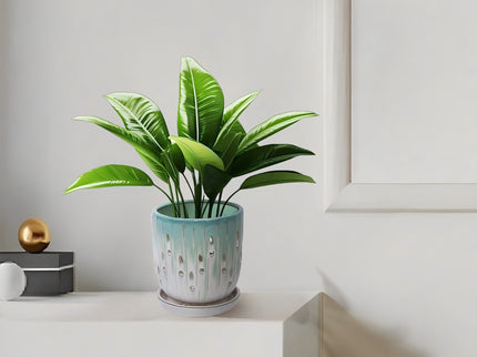 Flowerpot With Drainage Hole (Set of 2)