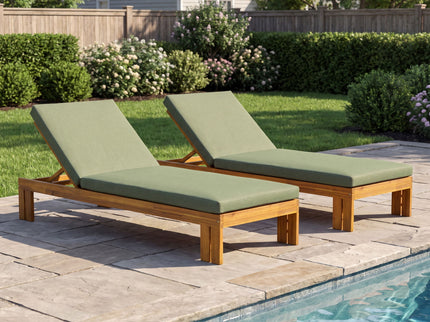 Outdoor Chaise Lounge With 5 Position Adjustable Backrest