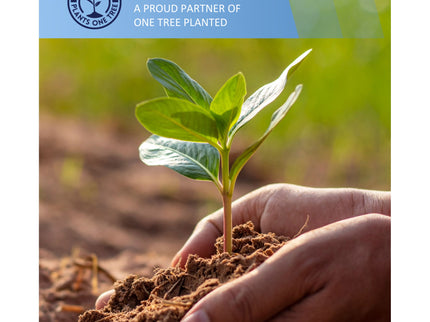 Comfort Care - 15" Euro Top Hybrid Mattress, Plush Comfort