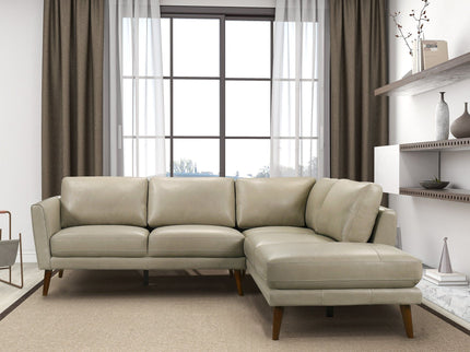 Benson - Sectional Sofa With Chaise