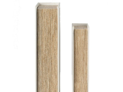 Book Boxes (Set of 2) - White / Gold