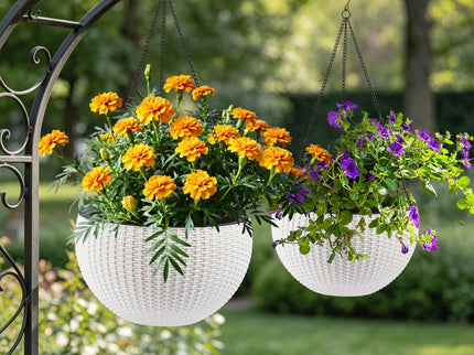 Self Watering Hanging Planter