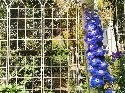 Metal Garden Rustproof Trellis For Climbing Plants Outdoor Flower Support