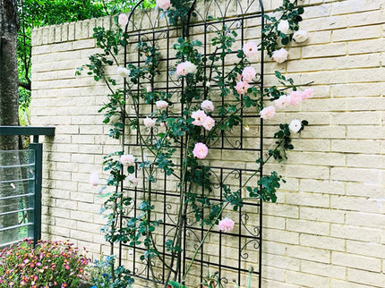 Metal Garden Rustproof Trellis For Climbing Plants Outdoor Flower Support