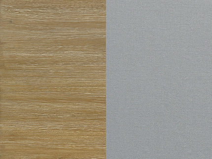 Modern Coastal Dining Chair (Set of 2)