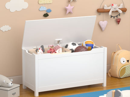 Toy Box Storage With Safety Hinged Lid