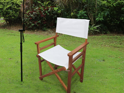 Folding Director Chair