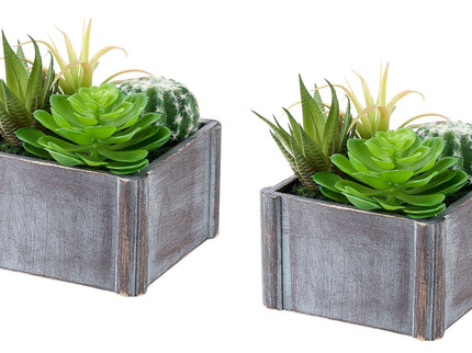 Artificial Succulent, Table Decor (Set of 2) - Green / Dark Gray