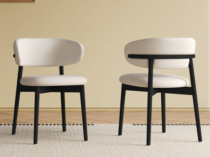 Mid-Century Modern Dining Chair (Set of 2)