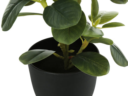 14" Tall, Artificial Plant, Ficus, Indoor, Faux, Fake, Table, Greenery, Potted, Decorative (Set of 2) - Green / Black