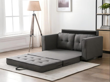 Upholstered Pull Out Sleeper Loveseat