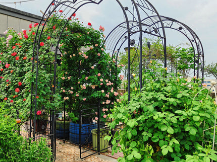 Metal Garden Arch Assemble Freely With 8 Styles Garden Arbor Trellis Climbing Plants Support Rose Arch