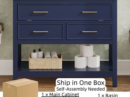 Bathroom Vanity With Ceramic Sink, Tip Out Tray & 2 Full Extension Drawers