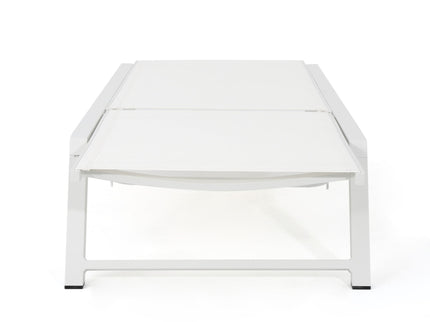 Myers - Modern Chaise Lounge Set With Adjustable Back